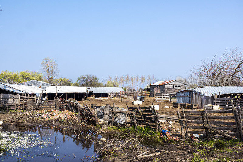 土耳其Karacabey, Floodplain Forest (longgoz) Bursa附近的一处废弃农舍